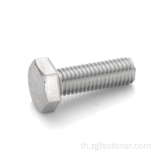 สแตนเลส 316 Hexagon Head Bolts DIN933